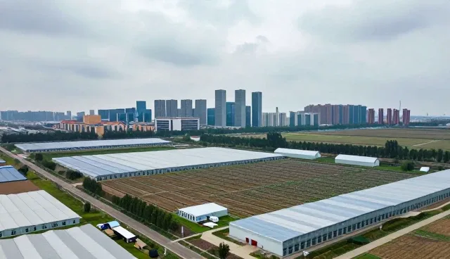 舟山市哎伟网络科技有限公司解析域名的发展趋势